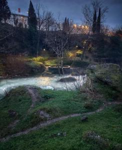 un arroyo de agua en un parque por la noche en MILENIJUM APARTMANIII, en Podgorica