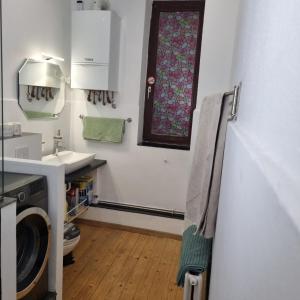 een kleine badkamer met een wastafel en een raam bij Exklusives Apartment nah S-Bahn in Bochum