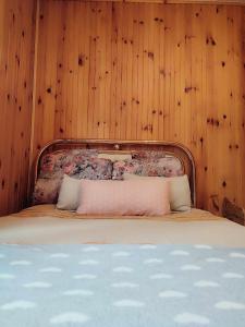 a bed in a room with a wooden wall at La Finestrella Alpina in Piancavallo
