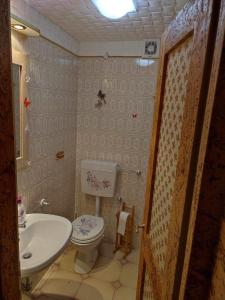 a small bathroom with a toilet and a sink at La Finestrella Alpina in Piancavallo
