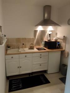 a kitchen with a sink and a microwave at Le petit Migault in La Creche