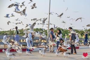 Hosté ubytování สถานตากอากาศบางปู สมุทปราการ Bang Pu Recreation Center Samut Prakan