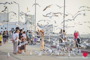 Hosté ubytování สถานตากอากาศบางปู สมุทปราการ Bang Pu Recreation Center Samut Prakan