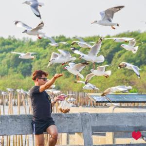 Hosté ubytování สถานตากอากาศบางปู สมุทปราการ Bang Pu Recreation Center Samut Prakan