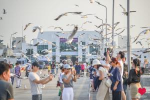 Hosté ubytování สถานตากอากาศบางปู สมุทปราการ Bang Pu Recreation Center Samut Prakan