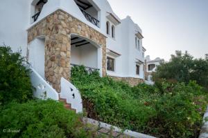 Zahrada ubytování Resort Hotel El Cortijo & Spa