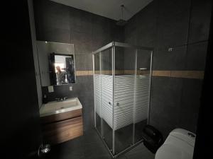 uma casa de banho com um chuveiro, um lavatório e um WC. em Sayula luxury apartments em Sayula