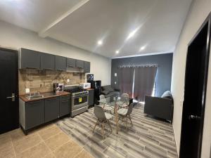 Sayula luxury apartments tesisinde mutfak veya mini mutfak