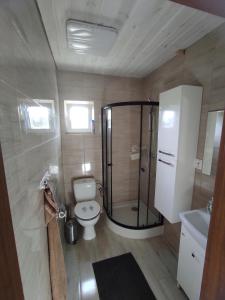 a bathroom with a shower and a toilet and a sink at Domki nad morzem i jeziorem in Jezierzany