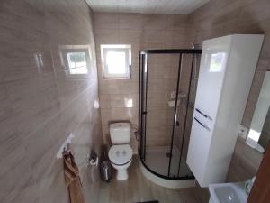 a bathroom with a toilet and a shower and a sink at Domki nad morzem i jeziorem in Jezierzany