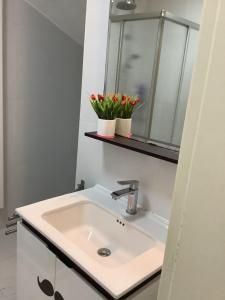 baño con lavabo y 2 flores en un estante en Sanhe en Mersch