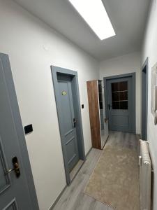 an empty hallway with two doors and a rug at Familien Apartment in Niederaigen +6 photos