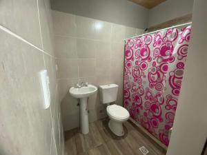 een badkamer met een toilet, een wastafel en een douchegordijn bij El viejo LEPI Aparts in El Calafate
