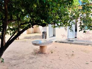 ławka siedząca pod drzewem obok budynku w obiekcie Casa para Férias w mieście Inhambane