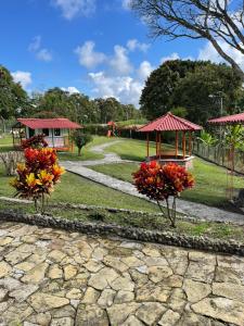 a park with a playground with flowers in the grass at Preciosa Finca en el Eje Cafetero, Quindío- Colombia in Montenegro