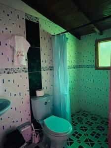 bagno con servizi igienici verdi e lavandino di B&B CALLE REAL a San Roque