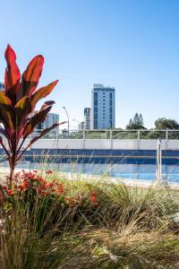 Fotografie z fotogalerie ubytování Panoramic Ocean Views At Maroochydore v destinaci Maroochydore