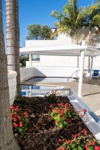 Zahrada ubytování Panoramic Ocean Views At Maroochydore