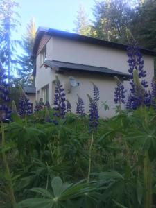 un edificio con flores púrpuras delante de él en Casa Llao alojamiento de montaña en San Carlos de Bariloche