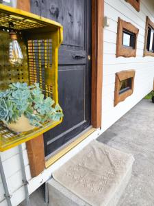 a front door of a house with a plant on a shelf at Departamento acogedor in Quellón