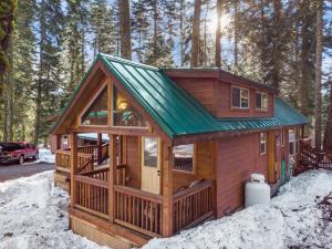 une cabine dans les bois dans la neige dans l'établissement The Cabins at Hyatt, à Ashland
