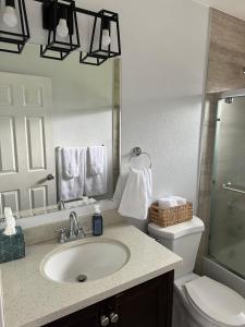 La salle de bains est pourvue d'un lavabo, de toilettes et d'un miroir. dans l'établissement The Cozy Nook, à Fair Oaks