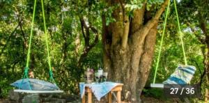 a table and chairs sitting under a tree at Glamping Teques Naturaleza de lujo Granja El Sol in Xoxocotla