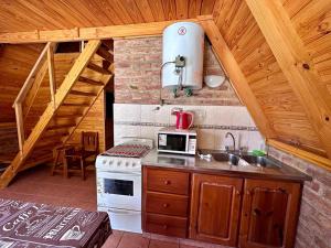 - une cuisine avec une cuisinière et un évier dans une cabine dans l'établissement Hostería & Cabañas Río Fénix, à Perito Moreno