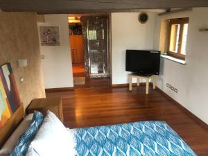 a living room with a bed and a flat screen tv at La torre del gatto in Sacrofano