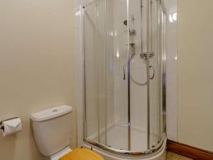 y baño con ducha y aseo. en 3 Bed in Nantgaredig 56410 en Llanfynydd