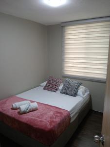 a bedroom with a bed with two pillows and a window at Hermoso Apartamento en zona exclusiva in Armenia