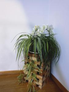 Fotografie z fotogalerie ubytování Mes Caprices B&B Villa Mosan Bord de Meuse v destinaci Namur