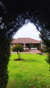 a house with a tree in the middle of a field at Cabañas "Rancho La Mesa" in Pátzcuaro