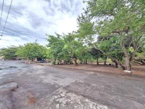 una calle vacía con árboles a un lado de la carretera en Mar.6: spacious 1 room, 2 AC, near Airport and Stella Maris beach, en Salvador
