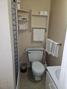 La petite salle de bains est pourvue de toilettes et d'un lavabo. dans l'établissement Cozy and quiet apartment, à Sudbury