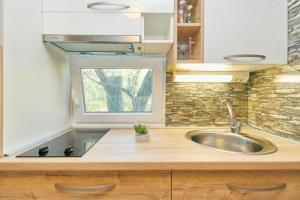 a kitchen with a sink and a window at Apartments with parking space Babino Polje, Mljet - 22319 in Babino Polje +18 photos