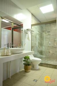 a bathroom with a sink and a toilet and a shower at Hotel del Sol in Tarija