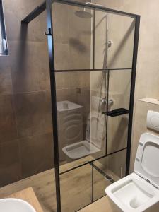 een glazen douchecabine in een badkamer met een toilet bij Holiday house with a swimming pool Ljubac, Zadar - 22537 in Krneša