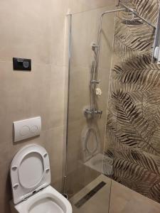een badkamer met een toilet en een glazen douche bij Holiday house with a swimming pool Ljubac, Zadar - 22537 in Krneša