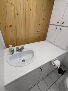 um lavatório branco numa casa de banho com paredes de madeira em Bienvenue chez Alice et daniel em Saint-Férréol-les-Neiges