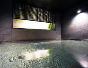 神戶的住宿－Hotel SUI Kobe Sannomiya by ABEST，一间设有窗户的池水客房