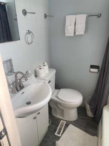 a bathroom with a white toilet and a sink at The Columbus Hideaway Den in Columbus