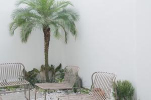 Zahrada ubytování Modern 4 Bedroom House I Close to Malls I Swimming Pool I Maximum 12 Guests I by Bleuspace