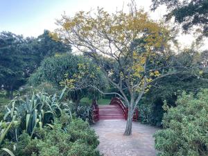 a stairway with a tree in a garden at Ocean Vista Escape - A Lofty Beachfront Penthouse in Wollongong