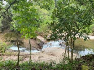 wodospad w środku lasu z drzewami w obiekcie Descubre la Reserva Forestal La Yeguada w mieście El Quije