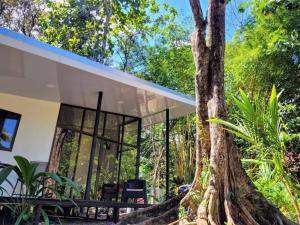 a house with a large tree in front of it at Luba house in Puerto Jiménez