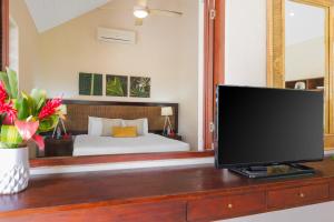 TV a/nebo společenská místnost v ubytování Mangoes Resort