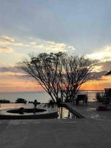 a park with a pond with a tree and a sunset at Ocean view apartment at Las Vistas Nativa Resort in Puntarenas