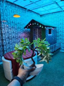 a person holding a bonsai plant in a room at Dk's Paradise Homestay in Agra