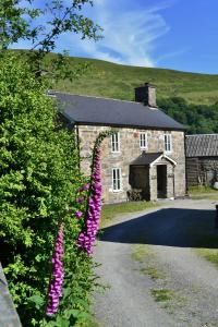 Gallery image of The Firecat Country House Guesthouse in Mallwyd